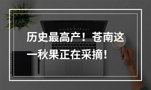 历史最高产！苍南这一秋果正在采摘！