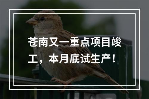 苍南又一重点项目竣工，本月底试生产！