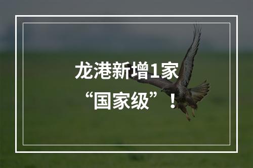 龙港新增1家“国家级”！