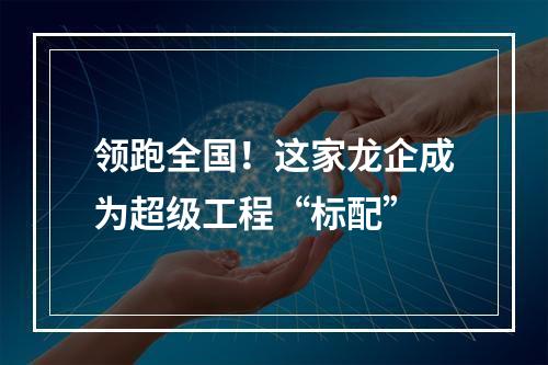 领跑全国！这家龙企成为超级工程“标配”