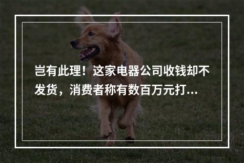 岂有此理！这家电器公司收钱却不发货，消费者称有数百万元打水漂......