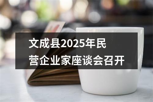 文成县2025年民营企业家座谈会召开