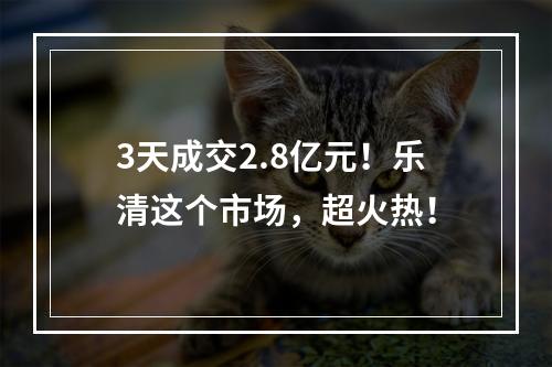 3天成交2.8亿元！乐清这个市场，超火热！