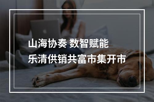 山海协奏 数智赋能 乐清供销共富市集开市