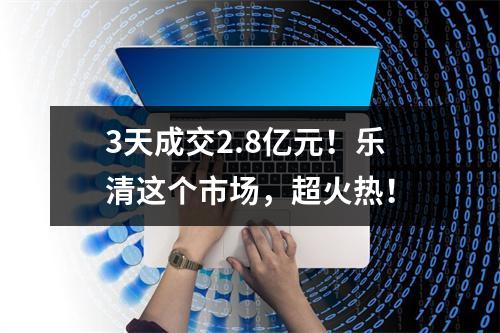 3天成交2.8亿元！乐清这个市场，超火热！