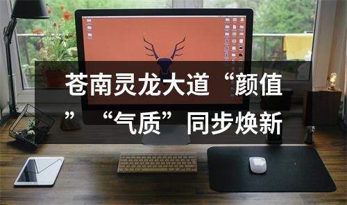 苍南灵龙大道“颜值”“气质”同步焕新