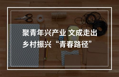 聚青年兴产业 文成走出乡村振兴“青春路径”