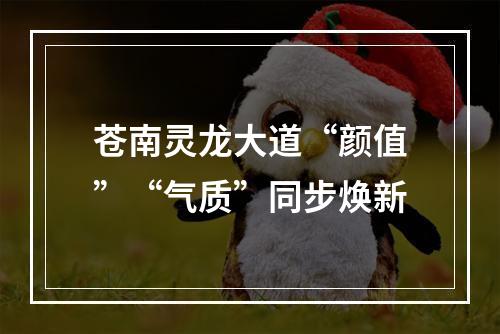 苍南灵龙大道“颜值”“气质”同步焕新