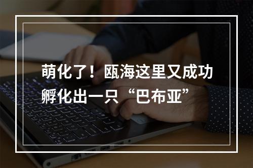 萌化了！瓯海这里又成功孵化出一只“巴布亚”
