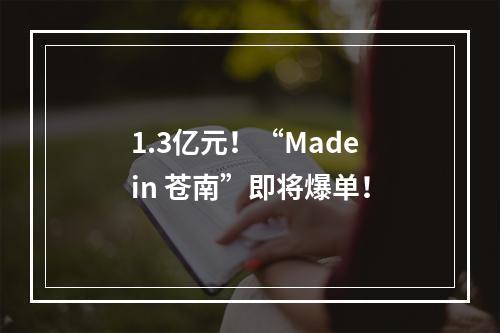 1.3亿元！“Made in 苍南”即将爆单！