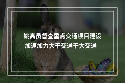 姚高员督查重点交通项目建设 加速加力大干交通干大交通