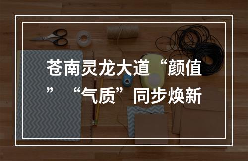 苍南灵龙大道“颜值”“气质”同步焕新