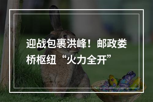 迎战包裹洪峰！邮政娄桥枢纽“火力全开”