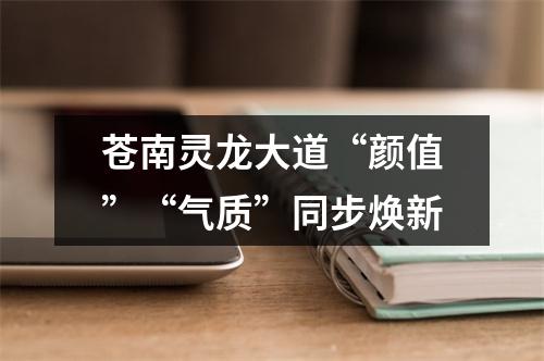 苍南灵龙大道“颜值”“气质”同步焕新