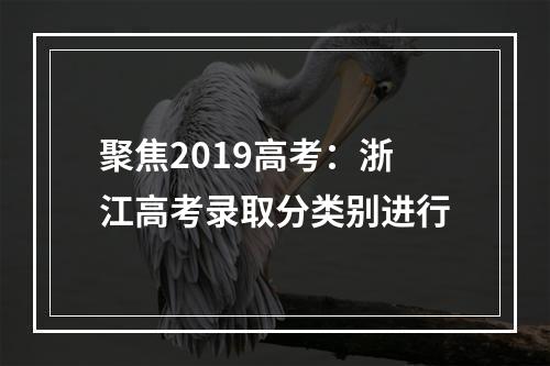 聚焦2019高考：浙江高考录取分类别进行