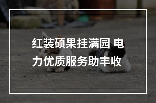 红装硕果挂满园 电力优质服务助丰收