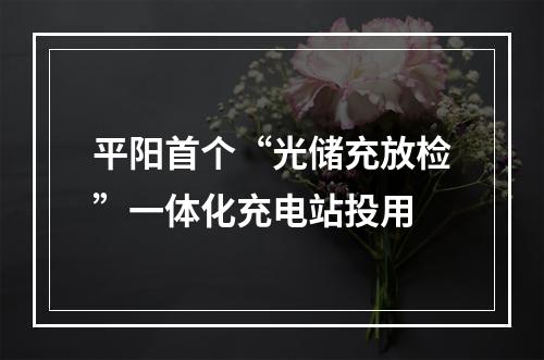 平阳首个“光储充放检”一体化充电站投用