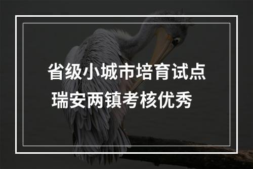 省级小城市培育试点 瑞安两镇考核优秀