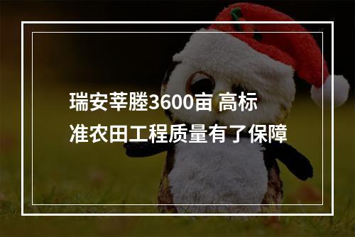 瑞安莘塍3600亩 高标准农田工程质量有了保障