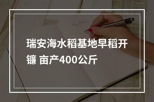 瑞安海水稻基地早稻开镰 亩产400公斤