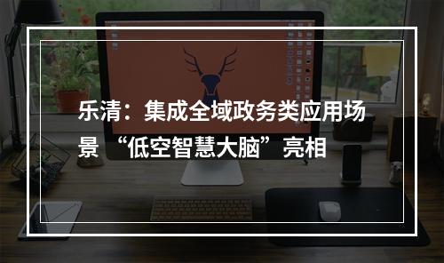 乐清：集成全域政务类应用场景 “低空智慧大脑”亮相