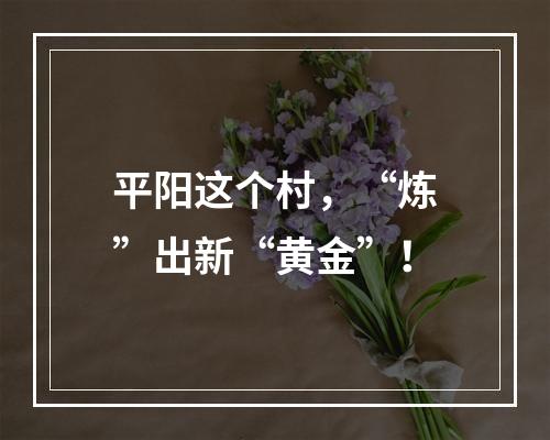 平阳这个村，“炼”出新“黄金”！
