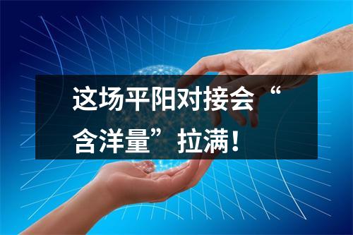 这场平阳对接会“含洋量”拉满！