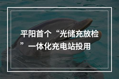 平阳首个“光储充放检”一体化充电站投用