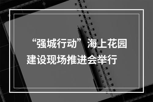 “强城行动”海上花园建设现场推进会举行