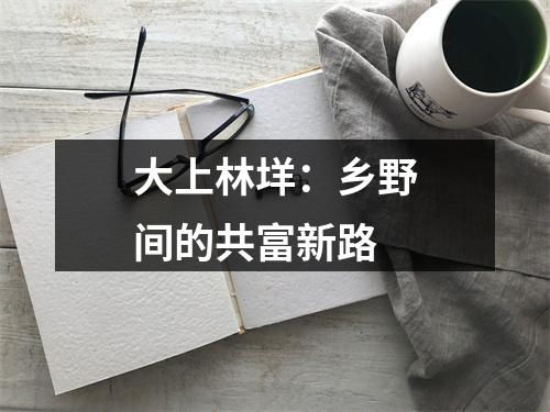 大上林垟：乡野间的共富新路