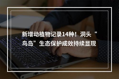 新增动植物记录14种！洞头“鸟岛”生态保护成效持续显现