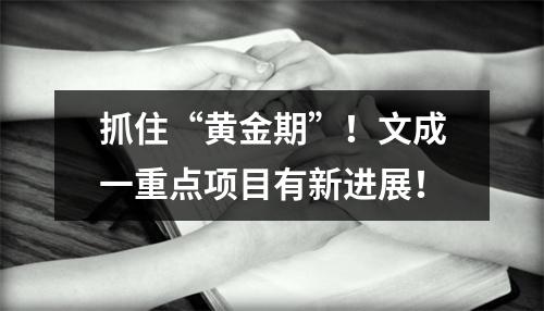 抓住“黄金期”！文成一重点项目有新进展！