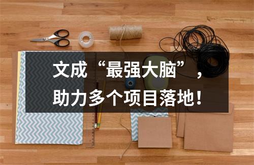 文成“最强大脑”，助力多个项目落地！