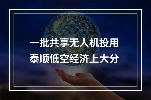一批共享无人机投用 泰顺低空经济上大分