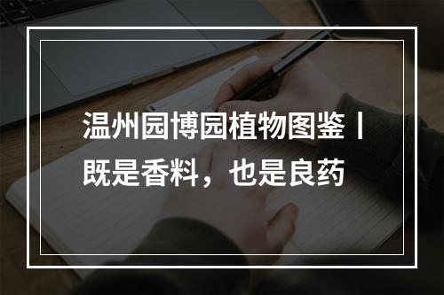 温州园博园植物图鉴丨既是香料，也是良药