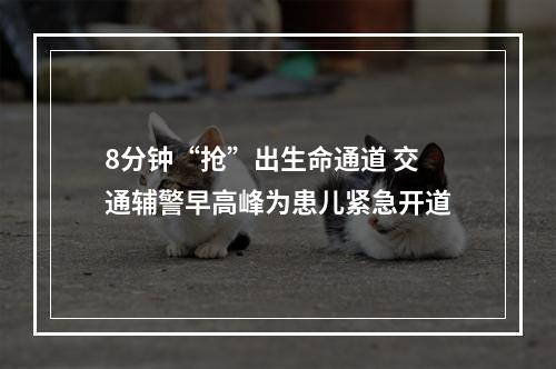 8分钟“抢”出生命通道 交通辅警早高峰为患儿紧急开道