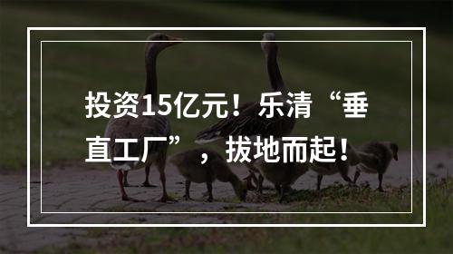投资15亿元！乐清“垂直工厂”，拔地而起！