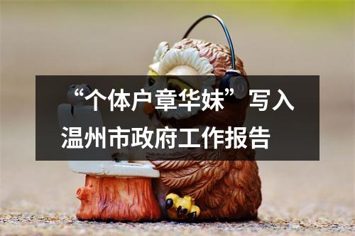 “个体户章华妹”写入温州市政府工作报告