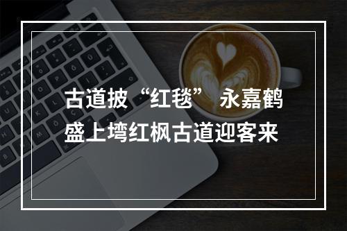 古道披“红毯” 永嘉鹤盛上塆红枫古道迎客来