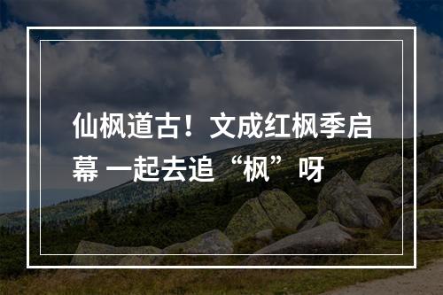 仙枫道古！文成红枫季启幕 一起去追“枫”呀