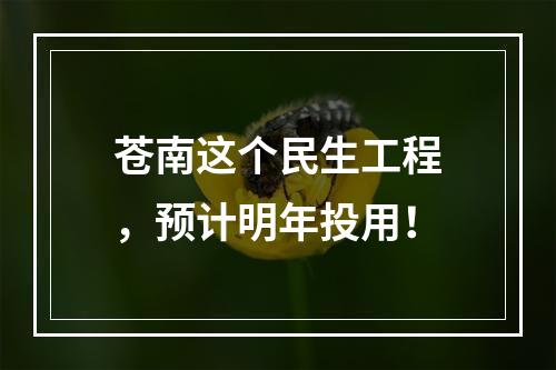 苍南这个民生工程，预计明年投用！