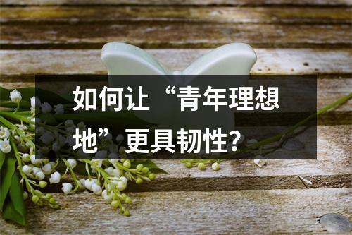 如何让“青年理想地”更具韧性？