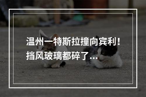 温州一特斯拉撞向宾利！挡风玻璃都碎了...