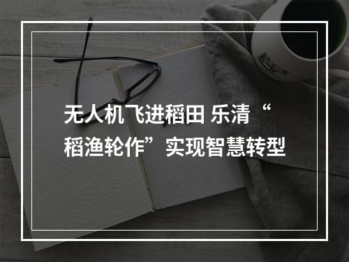 无人机飞进稻田 乐清“稻渔轮作”实现智慧转型