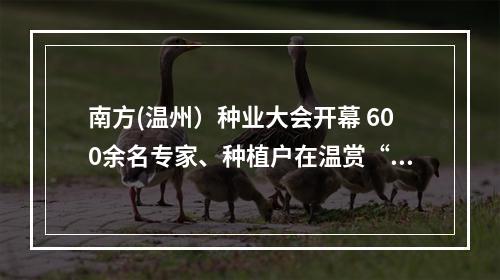 南方(温州）种业大会开幕 600余名专家、种植户在温赏“花”选“种”
