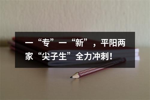 一“专”一“新”，平阳两家“尖子生”全力冲刺！