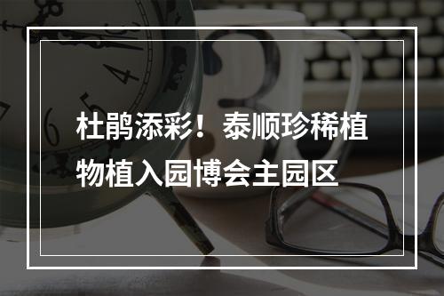 杜鹃添彩！泰顺珍稀植物植入园博会主园区