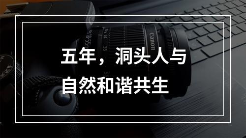 五年，洞头人与自然和谐共生