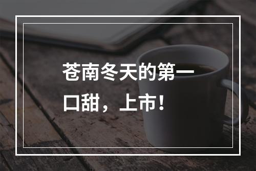 苍南冬天的第一口甜，上市！