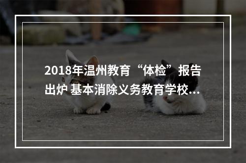 2018年温州教育“体检”报告出炉 基本消除义务教育学校大班额现象